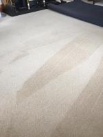 Trees Carpet Cleaning image 2